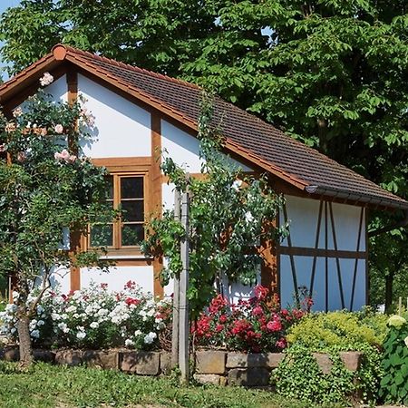Winzerhof Woerner Apartment Durbach Luaran gambar