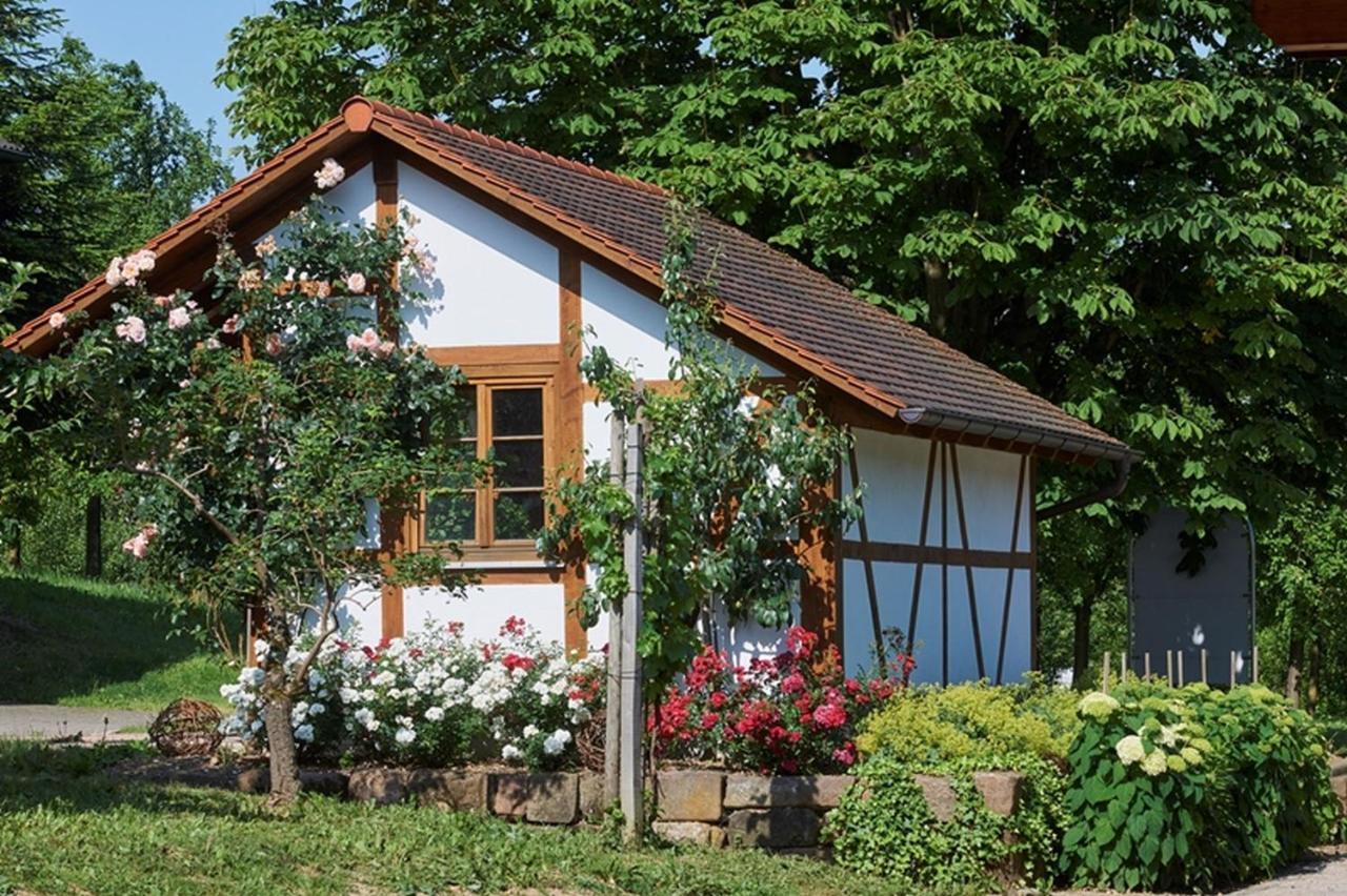 Winzerhof Woerner Apartment Durbach Luaran gambar